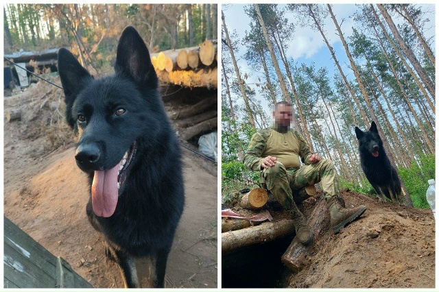 Бойцы на технике